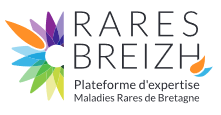 Rares Breizh